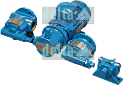 Leading Manufacturer of Rotary Trochoidal Gear Pump in India