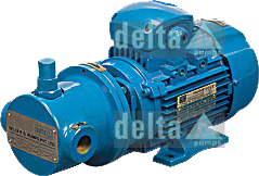 Leading Manufacturer of Rotary Trochoidal Gear Pump in India